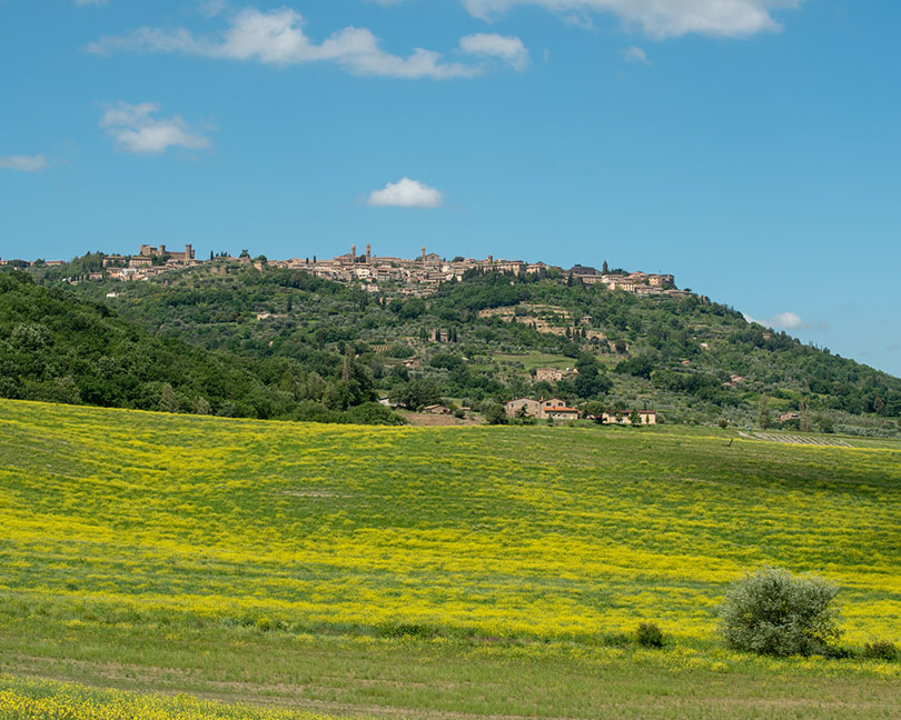 モンタルチーノ